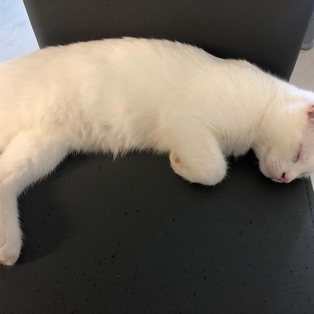 ホテル Le Domaine Des Pres Lachambre エクステリア 写真